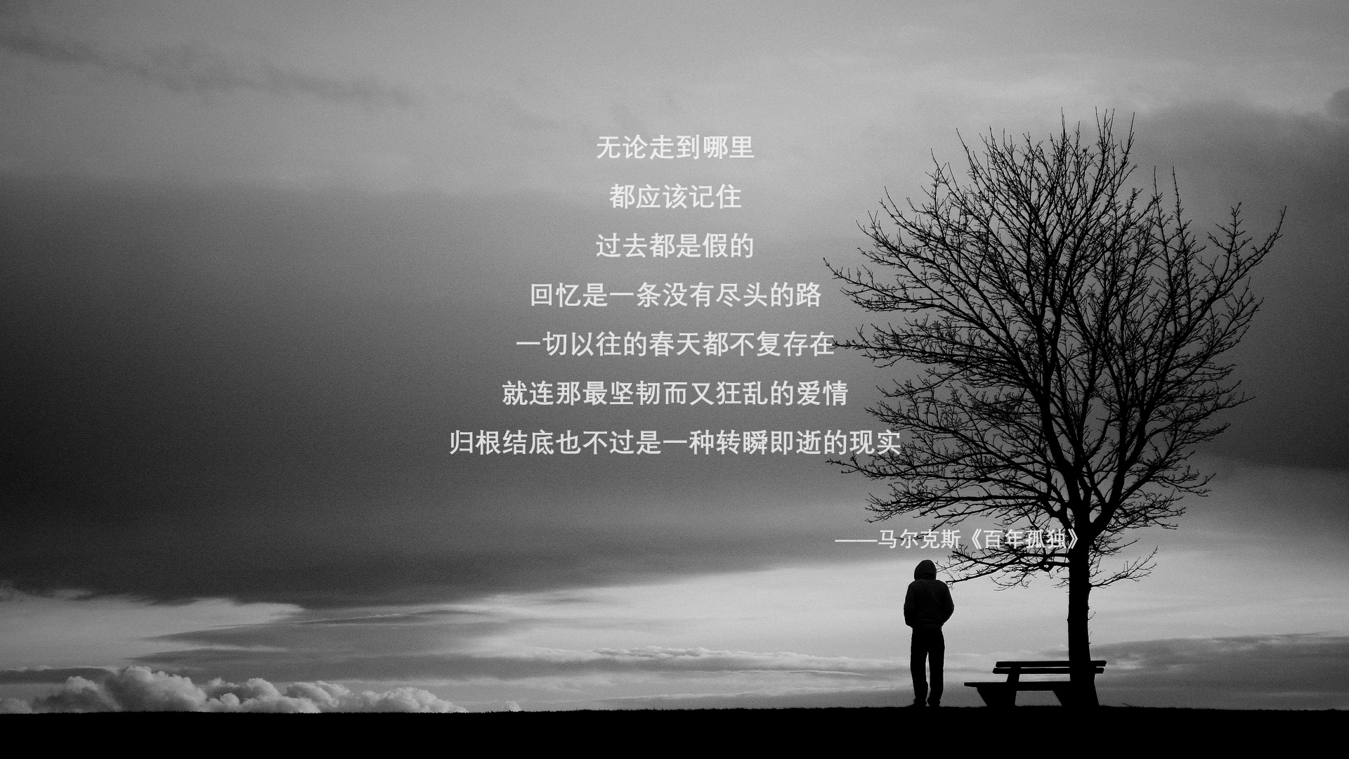 文班亚马43+14掀翻航母！太阳绝境重生，西部新秩序由他写下