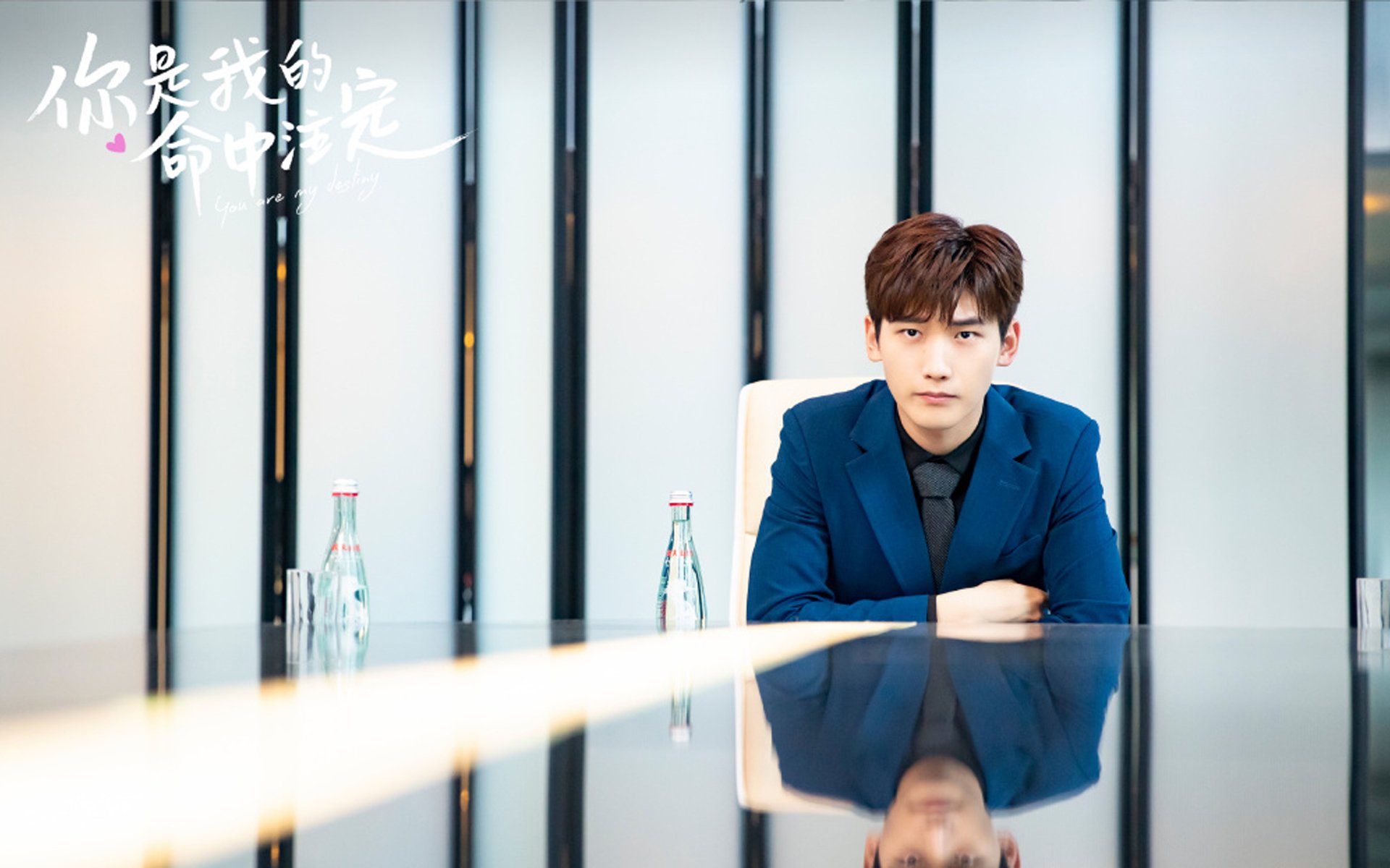 上海拉文横空出世!两记暴扣让十冠王广东提前缴械