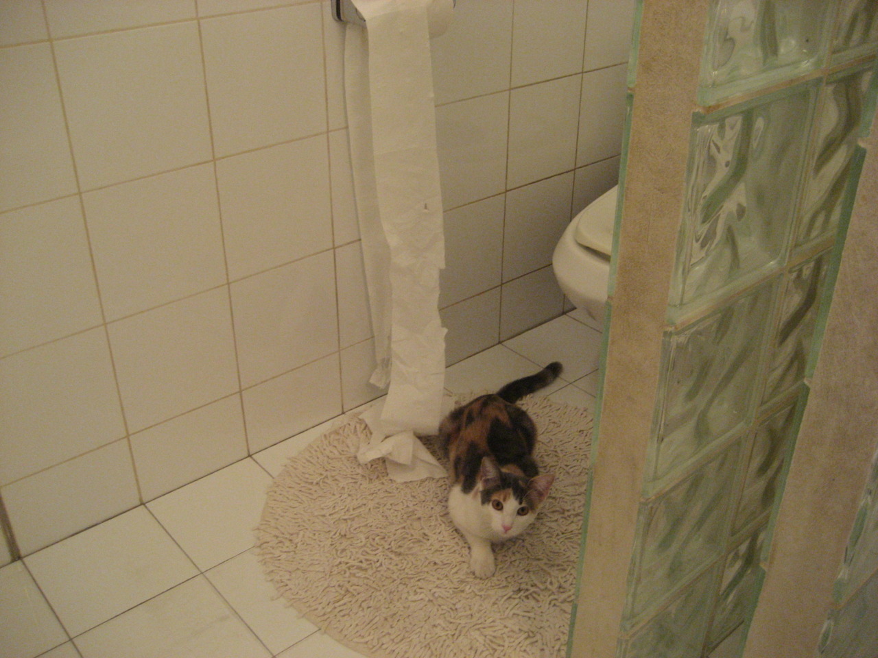 NBA总决赛之夜，罗德里在场边的另一种稳定输出