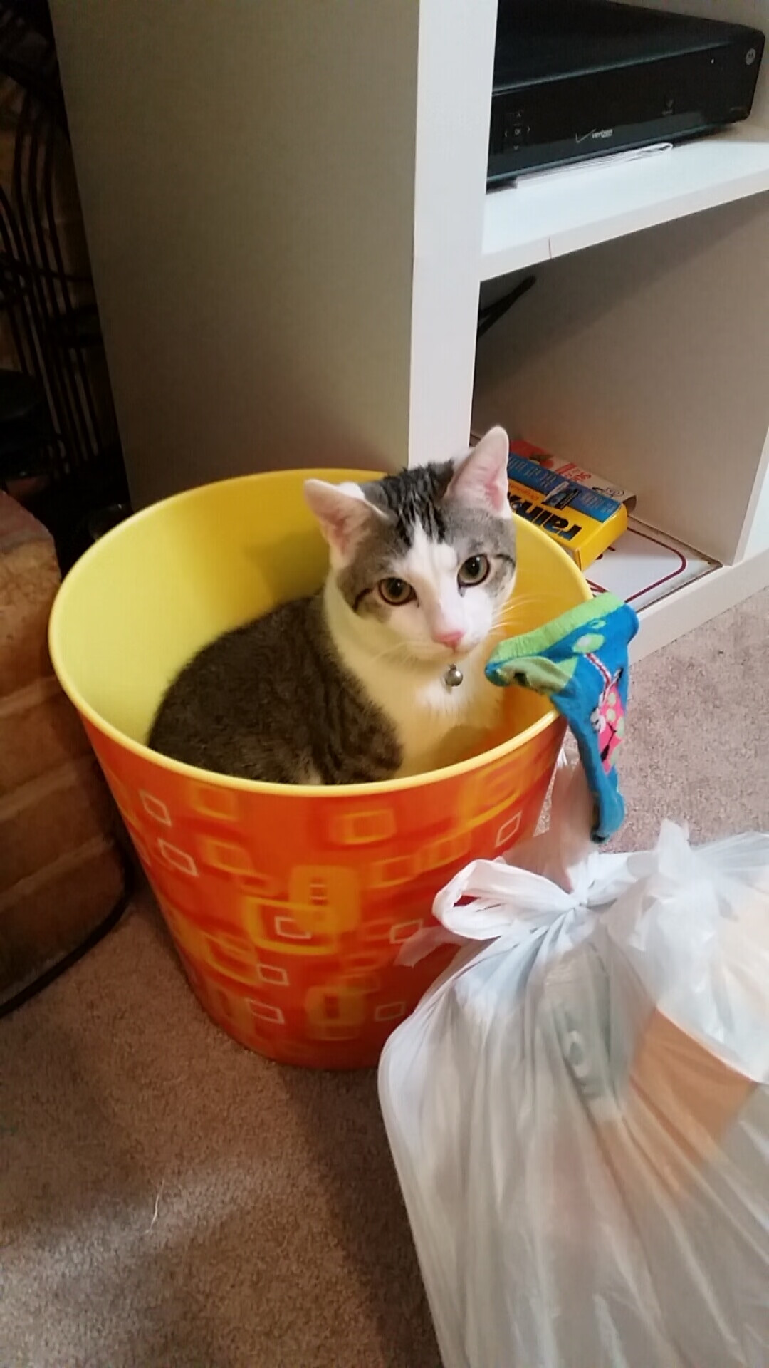 冰封丹佛，伦纳德死神的镰刀与马刺精密的屠戮