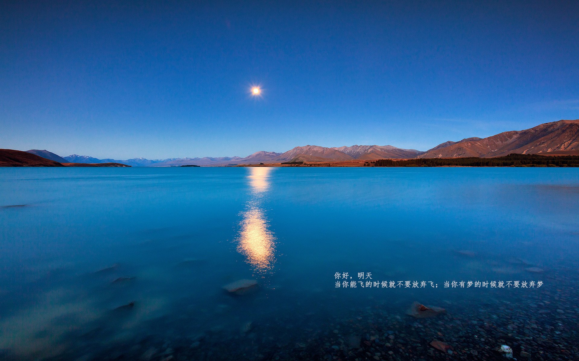 黄蜂抢七击败山西晋级,命运之战的绝地回响