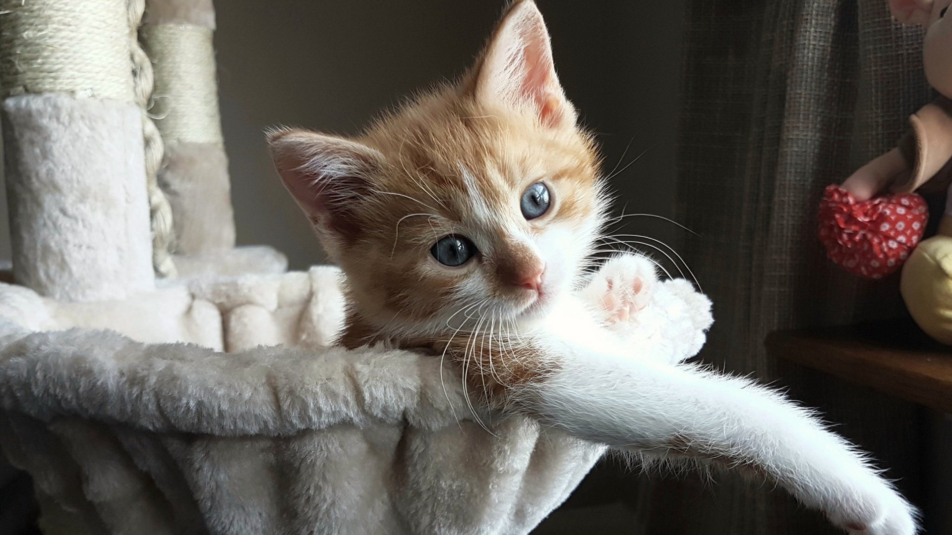 世代共振，姆巴佩的巨星爆发与韩国新星的争冠之路