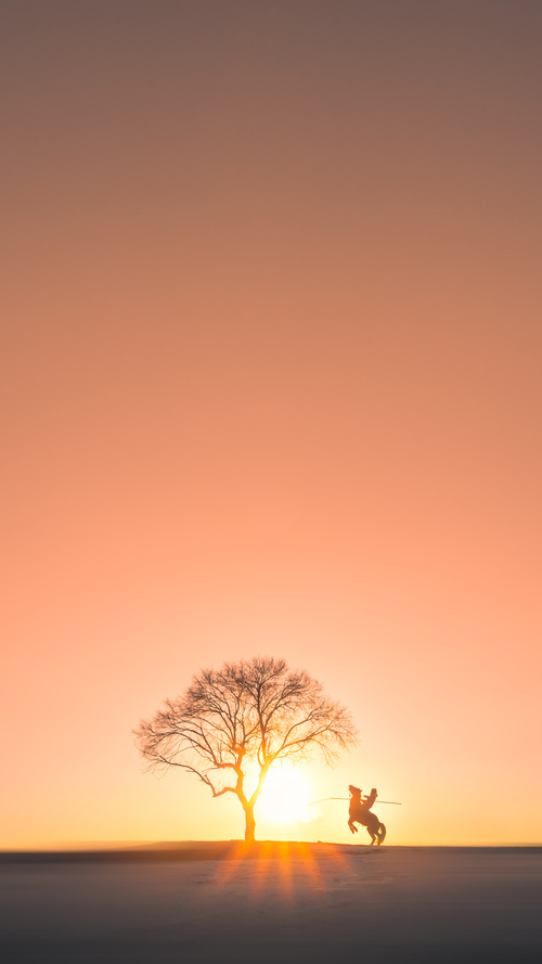 方向盘后的王者，当霍勒迪踩下油门，两个世界的巅峰同时颤栗