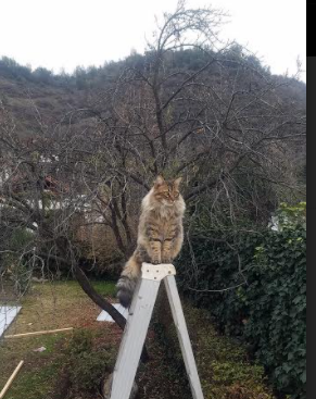 拉什福德爆发独中三元，英格兰行云流水一波带走中国