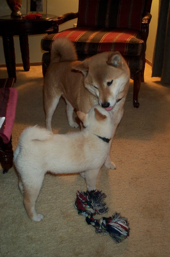 教科书级防守的虚构对决，卡瓦哈尔如何诠释哥斯达黎加式的胜利哲学