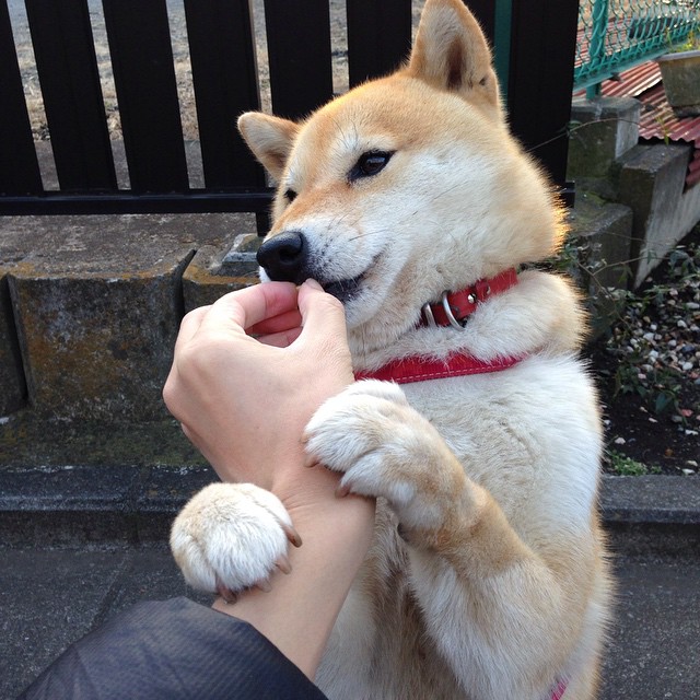 暗度陈仓，塔图姆如何成为步行者与鹈鹕之战的隐形胜负手