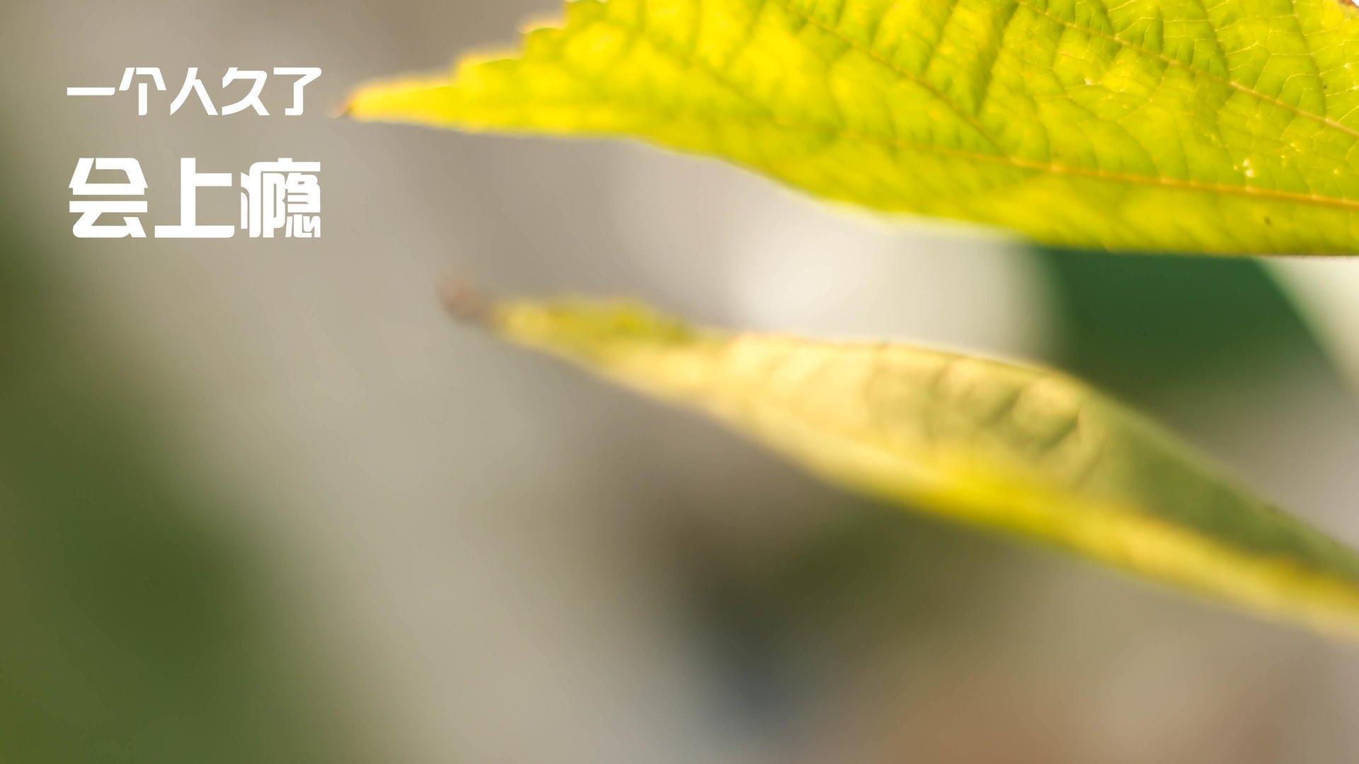 双重鏖战，火山口的争冠狂想与高原上的青春陨石