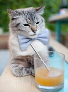 中场磐石，苏格兰对阵伊朗中的坎特式稳定输出之谜