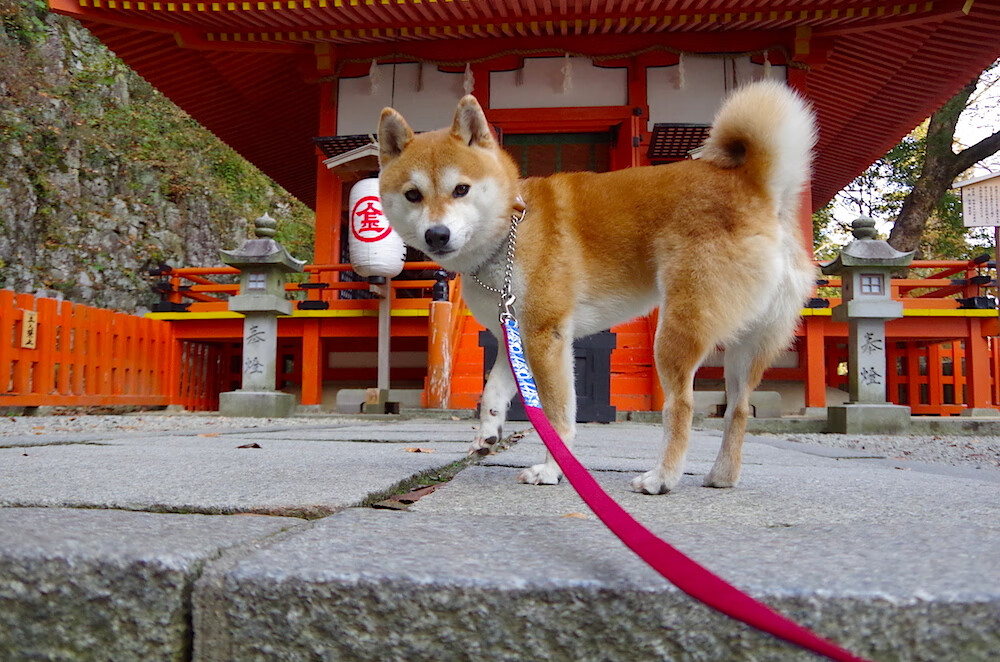 冷锋与热土