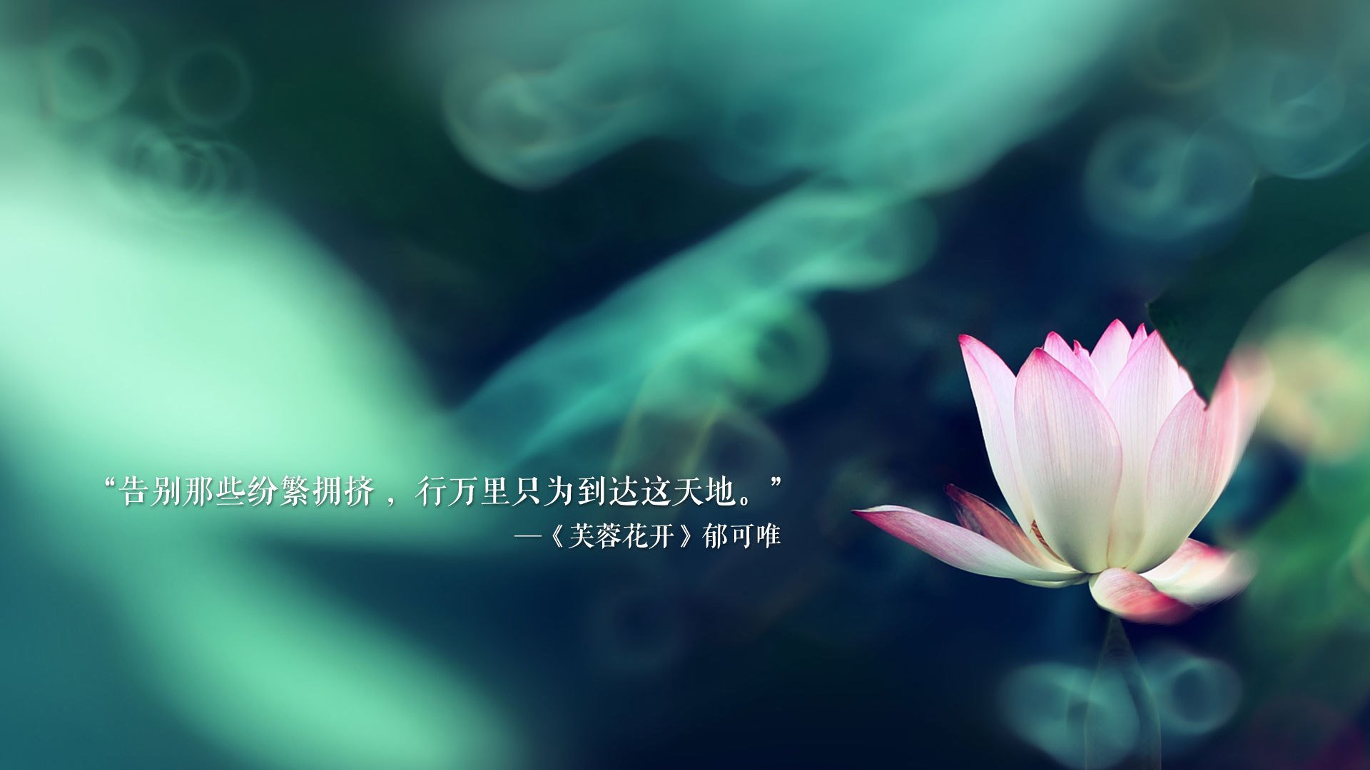 这是一篇为您定制的专栏文章，基调偏向深度体育评论，融合了赛事描写与战略分析