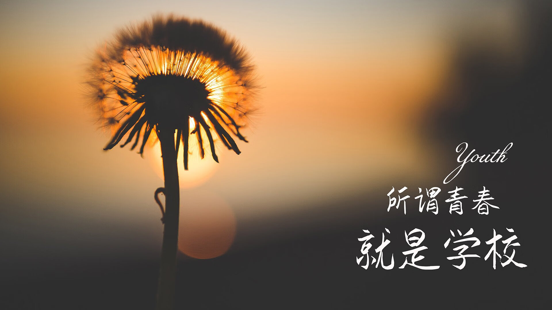 铁幕重现，迪亚斯如何用一张隐形战术图锁死2026世界杯D组葡韩恩怨