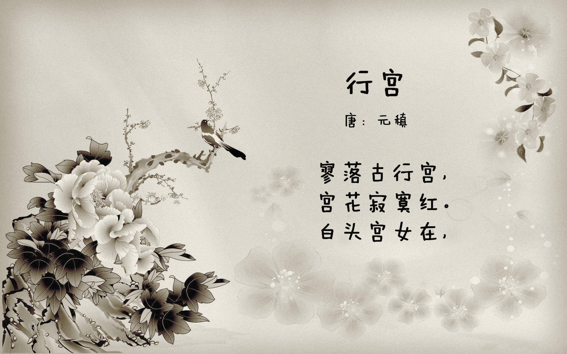 绿茵孤星,当桑巴狂潮淹没东欧铁骑,唯一的光芒是日本武士的刀锋