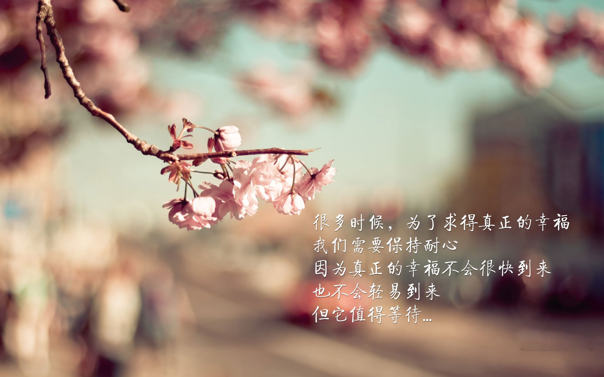 沙漠之狐的惊世獠牙,当阿联酋血洗奥地利,孙兴慜的太极虎归途刺穿世界杯最离奇的F组
